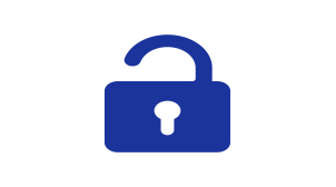 icon lock